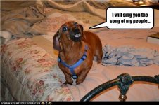 I will sing you the song of my people.jpg