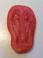 Tomato2014.JPG