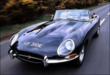 2-jaguar.jpg