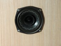 IMG_2865.jpg