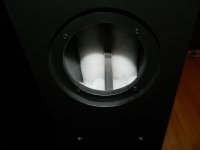 DSCN0670.jpg
