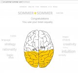 Brain activity.JPG