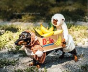 1 - two-monkeys-carrying-box-of-bananas-costume.jpg