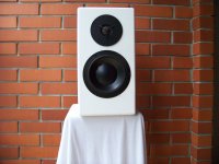 Dynaudio 160 GT front.jpg