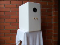 Dynaudio 160 GT back.jpg