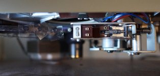 Switch Actuating Spring and Steel Ribbon.jpg Switch Actuating Spring and Steel Ribbon.jpg