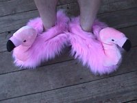 slippers.jpg