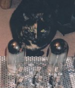 hot cathode.jpg