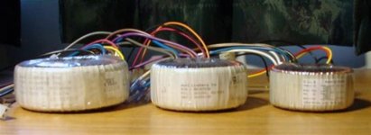 newtorid (medium).jpg