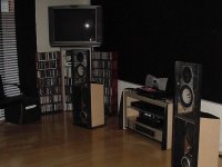 stereo view.jpg