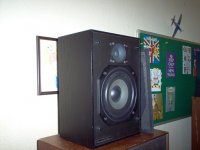 6 inch Bass plus 2 inch cone tweeter.jpg