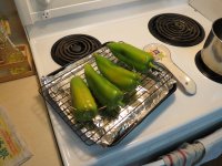IMG_2873.jpg