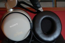 DSC07636-cópia.jpg