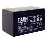 FG21202 FIAMM.jpg
