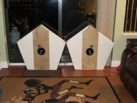 IMG_1252.jpg
