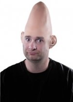 31n23oVcOfL._SY445_.jpg