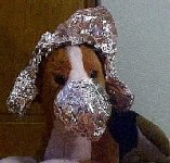 aluminum beanie.jpg