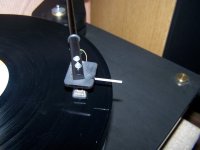 August Headshell 002.JPG