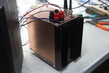 LabAmp 2.jpg