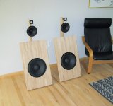 C.Laub prototype open baffle with fin loudspeaker.jpg