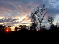 Jay_Sunset_a.jpg