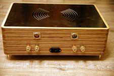 Translam Plywood Amplifier.JPG