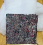 alpair10p 004.jpg