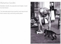 Mahatma Gandhi.jpg