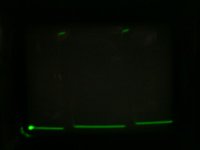 PTDC0004.JPG