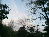 IMG_0105.JPG