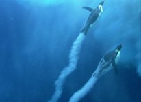 super penguins.jpg
