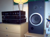 SonyBass_Morel_CAT298_3rdOrder.jpg