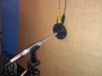 mic at Den.jpg