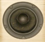 birch-acoustics-driver.jpg