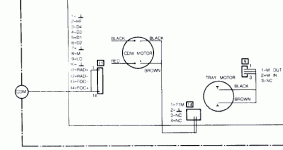 image1.gif