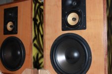 tinitus speaker.JPG