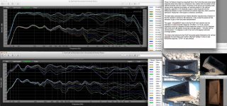 SynTripP Horizontal & Vertical Polars.jpg