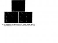 Schade_Figure 34.jpg