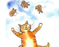 cat-juggle.jpg