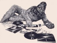 chewbacca-records.jpeg