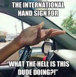 International symbol for what is this dude doing.jpg
