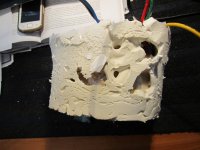 IMG_0391[1].jpg