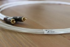 Rizzi RCA.jpg