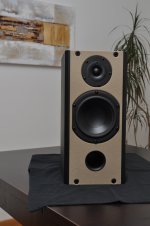Peerless ScanSpeak.JPG