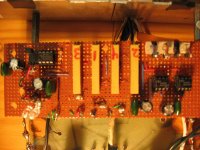 IMG_2923.jpg