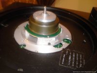 Photo0316-Optimized.jpg