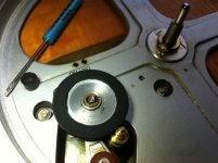 NeatShieldSprings.jpeg