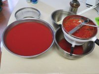 IMG_3074.jpg