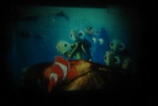 img_0035_1_resize.jpg