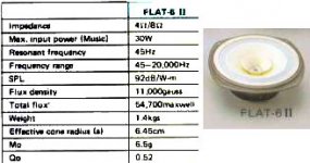 coralflat6.jpg